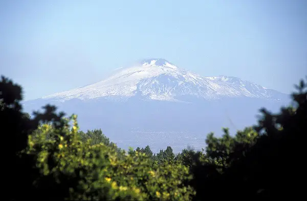 Azienda-Agricola-San-Giuliano-Sicilie (3)