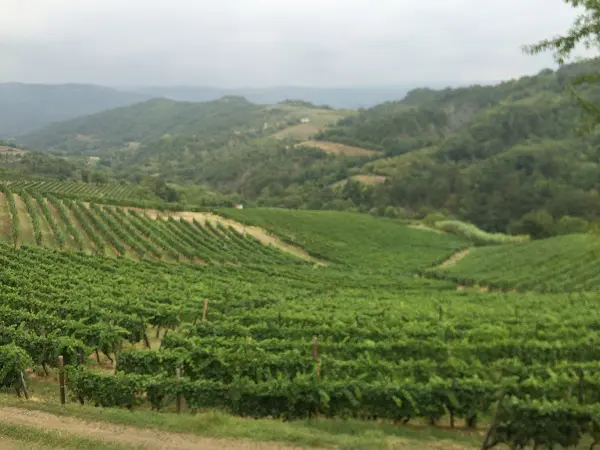 Cascina-Bertolotto-wijn-proeven-Piemonte (2)
