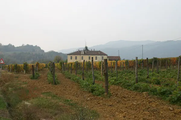 Cavallero-Vini-wijn-proeven-Piemonte (5)