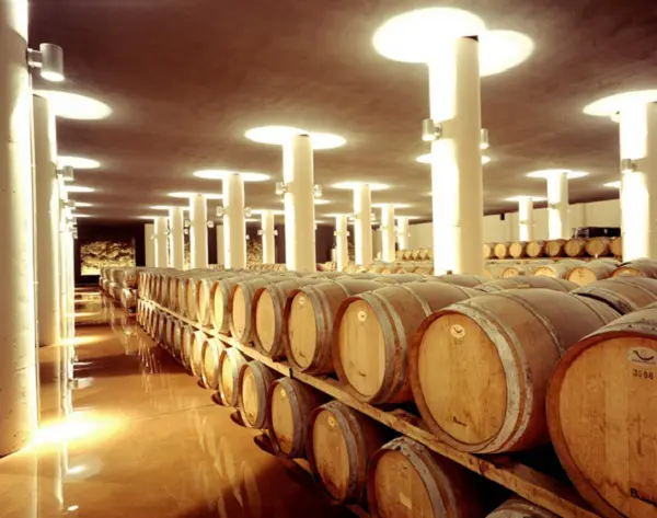 Chianti-wijn-proeven-Fonterutoli-2