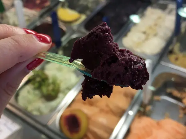 Gunther-Gelato-Italiano-Rome-ijs (16)