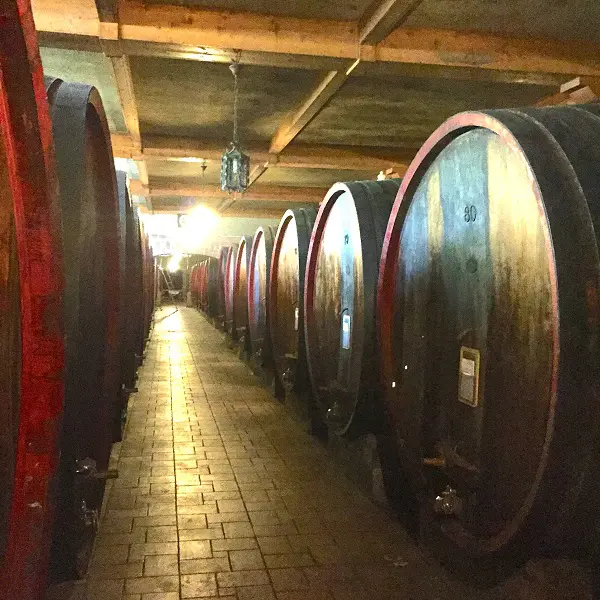 Il-Cascinone-wijn-proeven-Piemonte (2)