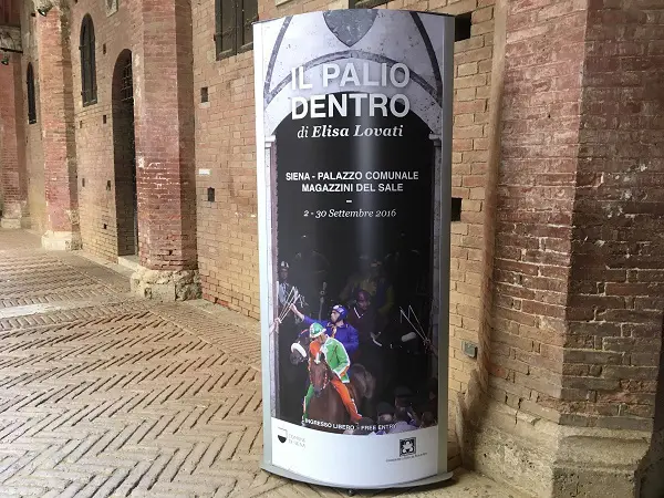Il-Palio-dentro-Elisa-Lovati-Palazzo-Pubblico-Siena (1)