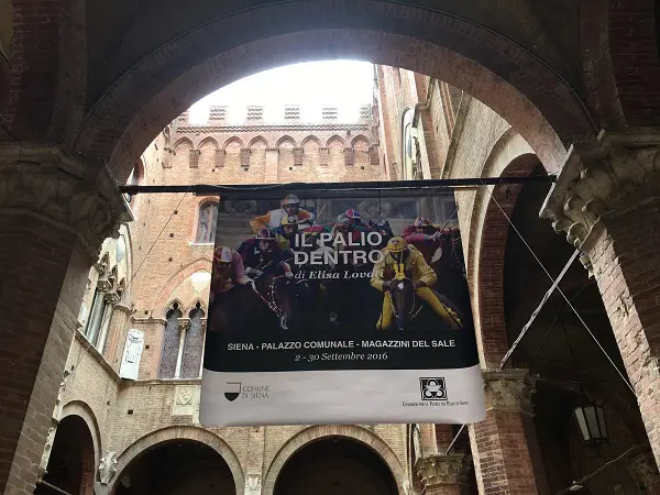 Il-Palio-dentro-Elisa-Lovati-Palazzo-Pubblico-Siena (2)