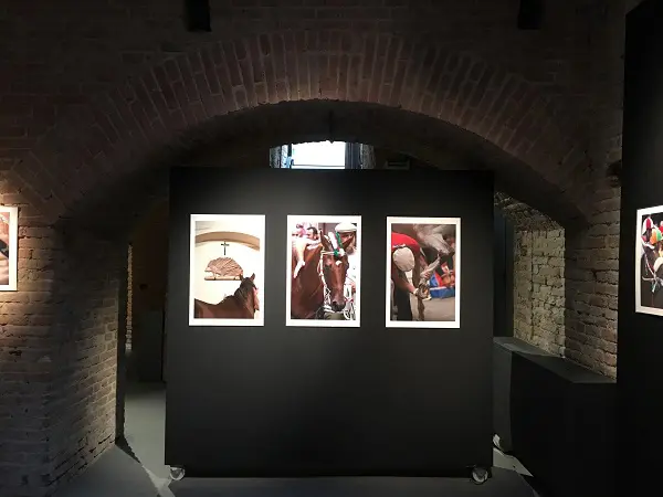Il-Palio-dentro-Elisa-Lovati-Siena (16)