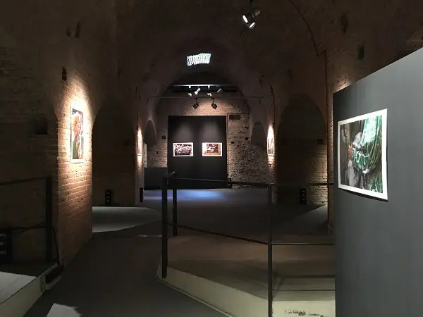 Il-Palio-dentro-Elisa-Lovati-Siena (5)