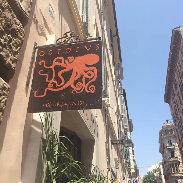 Octopus-Monti-Rome (1)