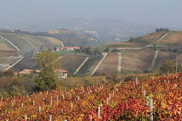 Renato-Fenocchio-wijn-proeven-Piemonte (1)