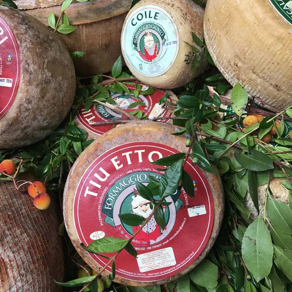 Turijn-Terra-Madre-Slow-Food-september-2016 (25)
