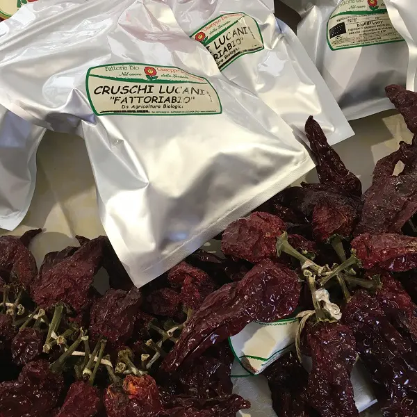 Turijn-Terra-Madre-Slow-Food-september-2016 (27)