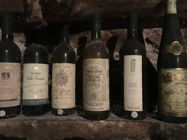 Caneve-Aperte-Val-di-Cembra (18)