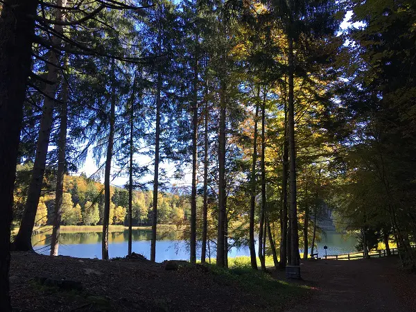 cembra-lago-santo-trentino-6
