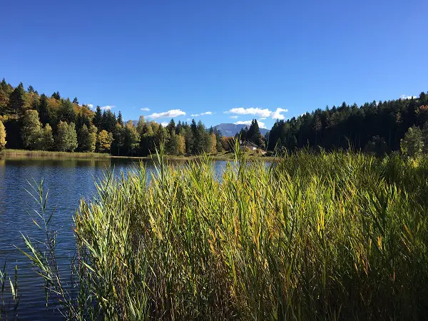 cembra-lago-santo-trentino-8