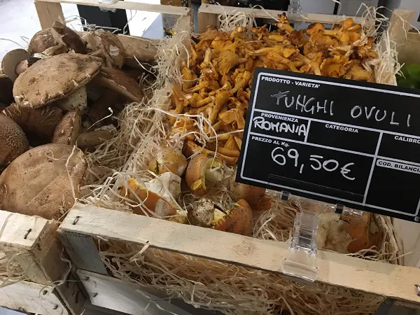 Hosteria-del-Mercato-Rome (11)