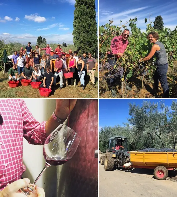 Lost_in_Florence_Nardia_Plumridge_Wine_Harvest-17