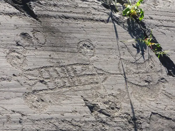 Roccia 23- carro