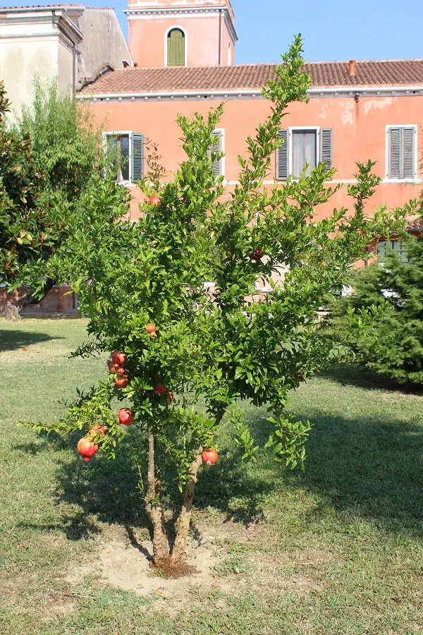 san-lazzaro-degli-armeni-venetie-14