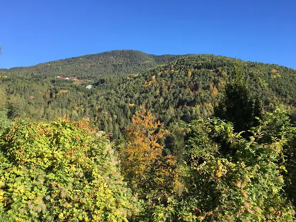 val-di-cembra-trentino-7
