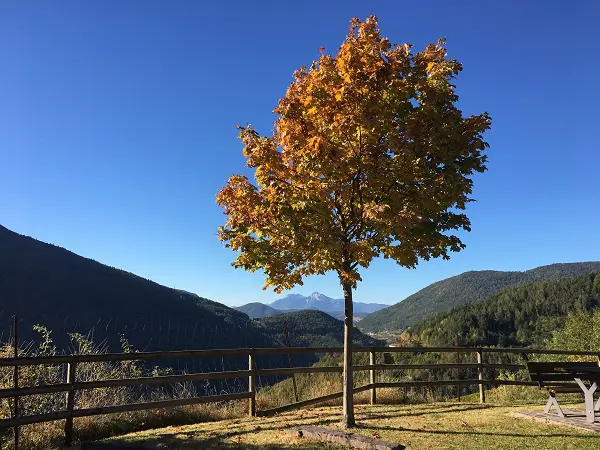 val-di-cembra-trentino-9