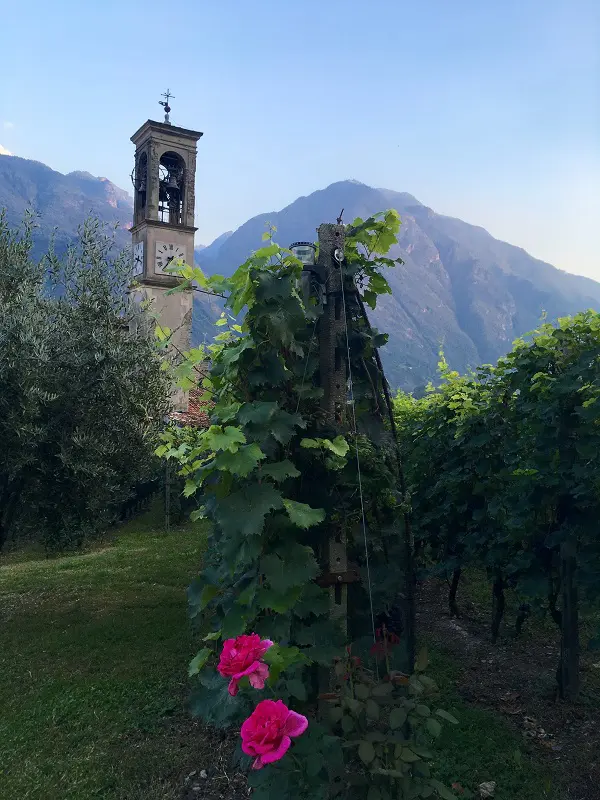 Wijngaard Cantine Bignotti in Piancogno in Valle Camonica