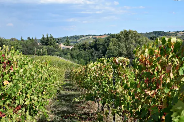 castell-arquato-la-mia-italia-6