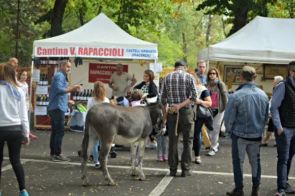 kastanje-feest-castell-arquato-3