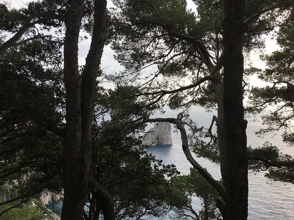 capri-belvedere-cannone-5