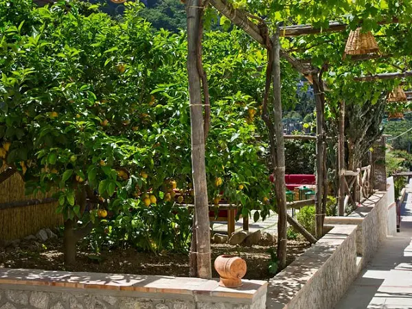 capri-wine-hotel-tuin-2