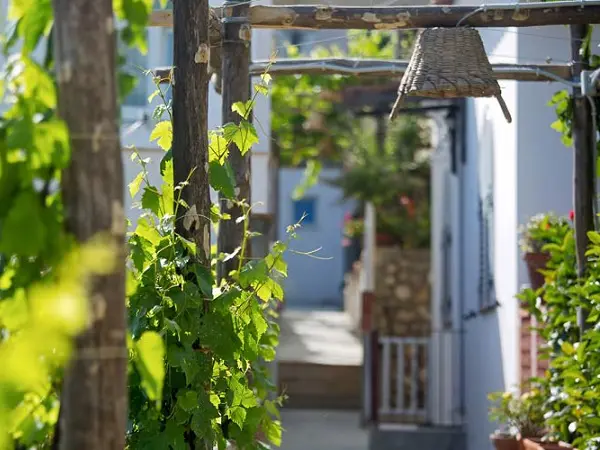 capri-wine-hotel-tuin-5