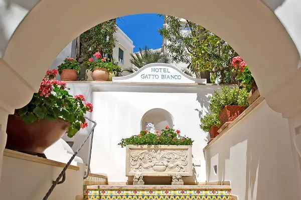 delphina-spa-wellness-hotel-gatto-bianco-capri-2
