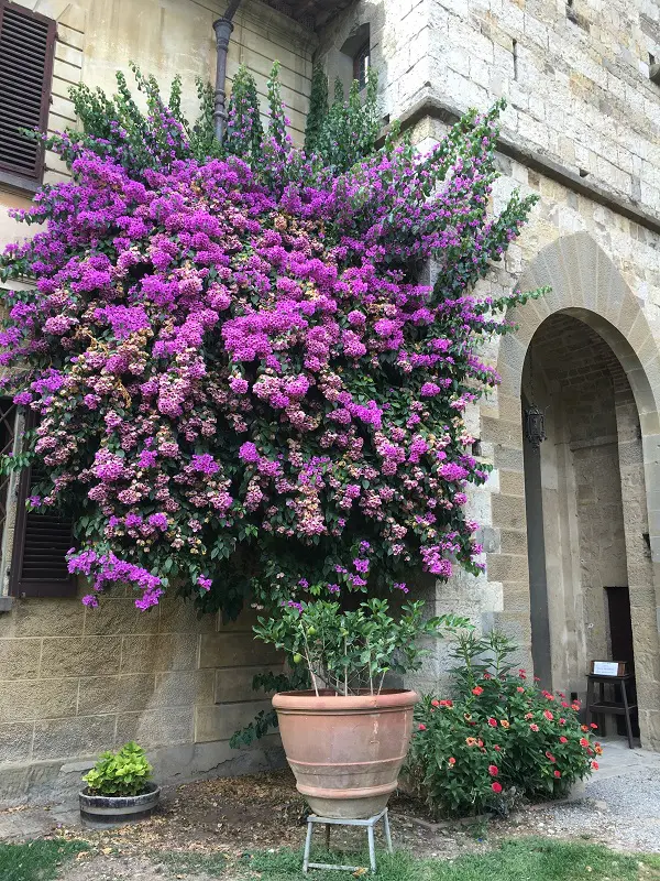 badia-passignano-chianti-toscane-9