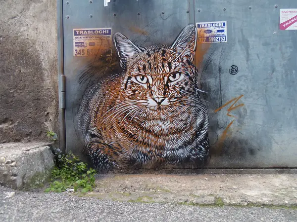 c215-street-art-rome-11
