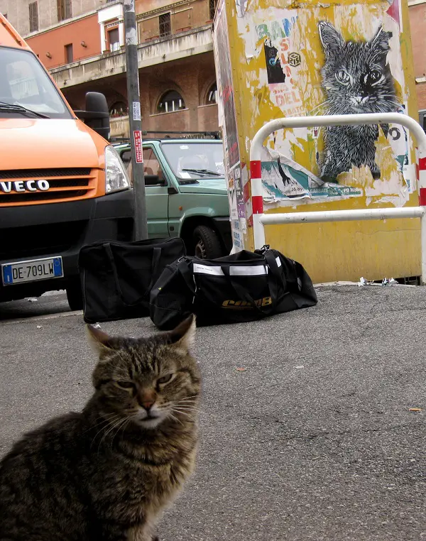 c215-street-art-rome-12