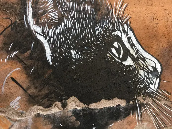 c215-torpignattara-rome-street-art-2