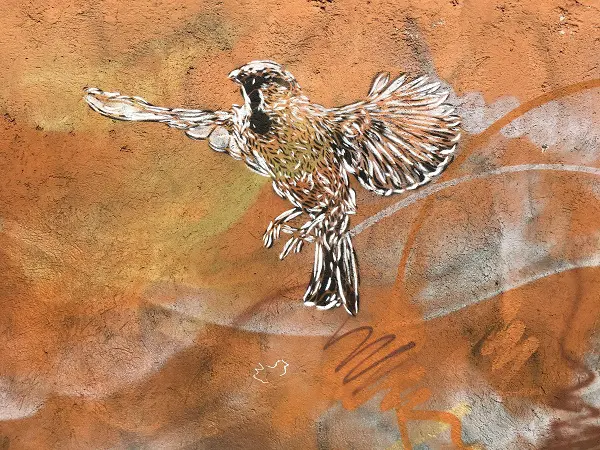 c215-torpignattara-rome-street-art-5a