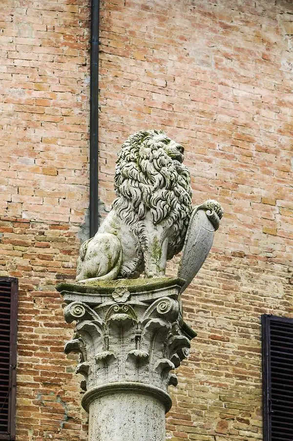 montepulciano-leeuw-marzocco