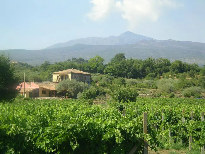 tenuta-madonnia-5