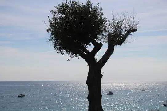 vespa-tocht-verrassend-eiland-ischia-19