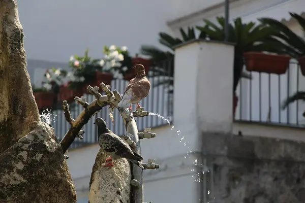 vespa-tocht-verrassend-eiland-ischia-3