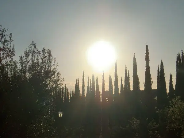 Azienda-Agricola-Chiappini-Bolgheri-Toscane (23)