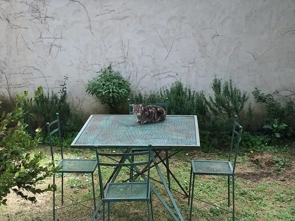 Azienda-Agricola-Frascole-Toscane (15)
