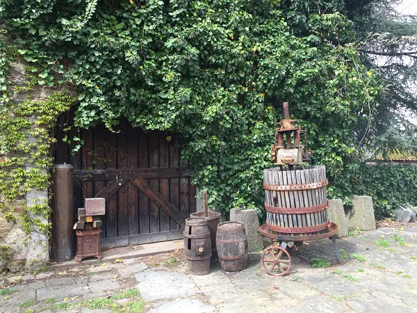 Azienda-Agricola-Frascole-Toscane (16)