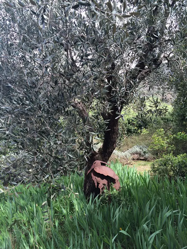 Azienda-Agricola-Frascole-Toscane (20)