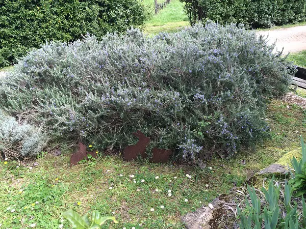Azienda-Agricola-Frascole-Toscane (23)