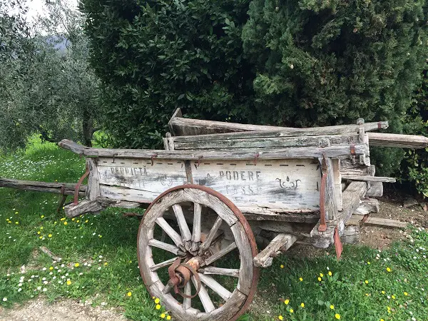 Azienda-Agricola-Frascole-Toscane (7)