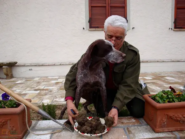 B&B-Il-Tartufo-Perugia-Bruno-truffel-hond (1)