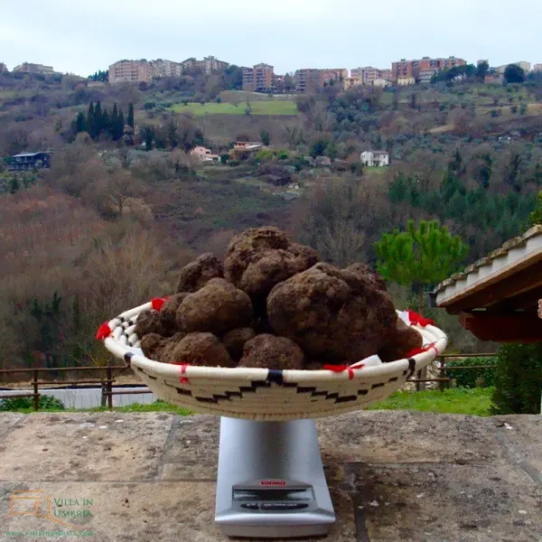 B&B-Il-Tartufo-Perugia-truffel-1