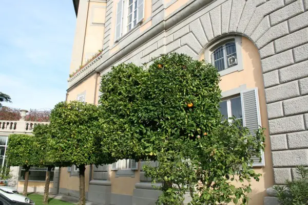 Bagni-di-Pisa-Palace (2)