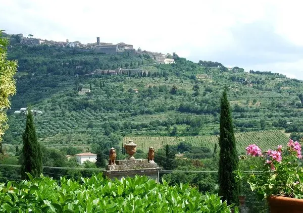 Baracchi-wijn-Cortona-Toscane (3)