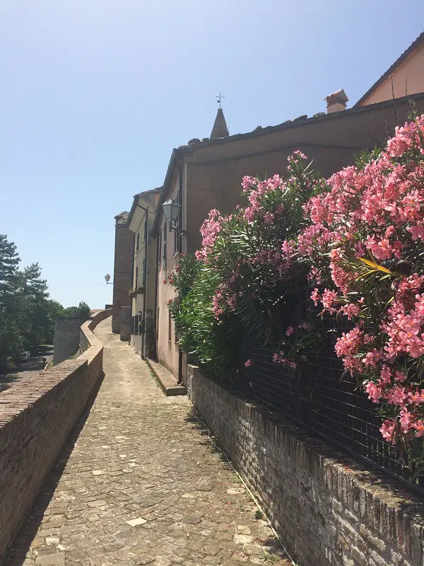 Barchi-Via-Mura-al-Mare (1)